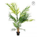 PLANTA KENTIA VERDE DECORACIÓN 200 CM