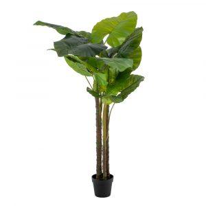 planta-filodendro-verde-artificial-100-x-60-x-155-cm-602172