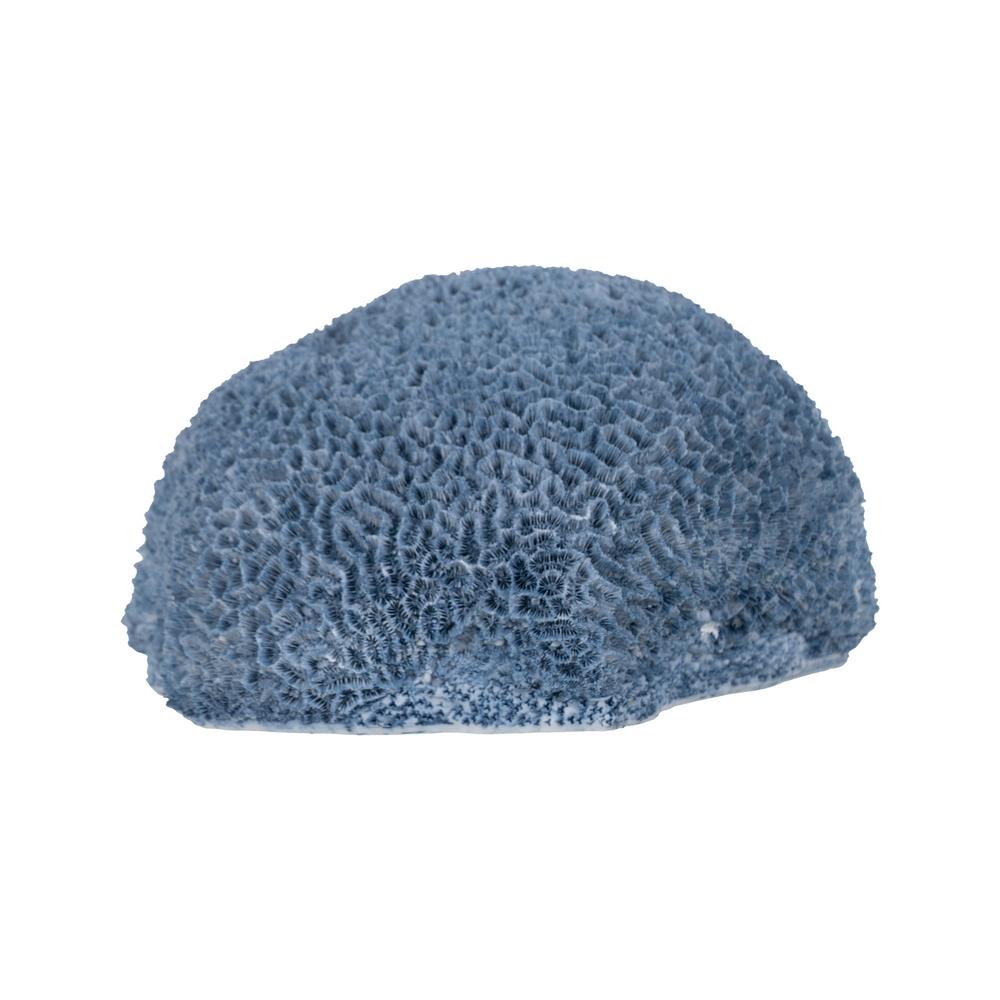 FIGURA ESPONJA AZUL RESINA DECORACIÓN 23 X 21 X 11 CM