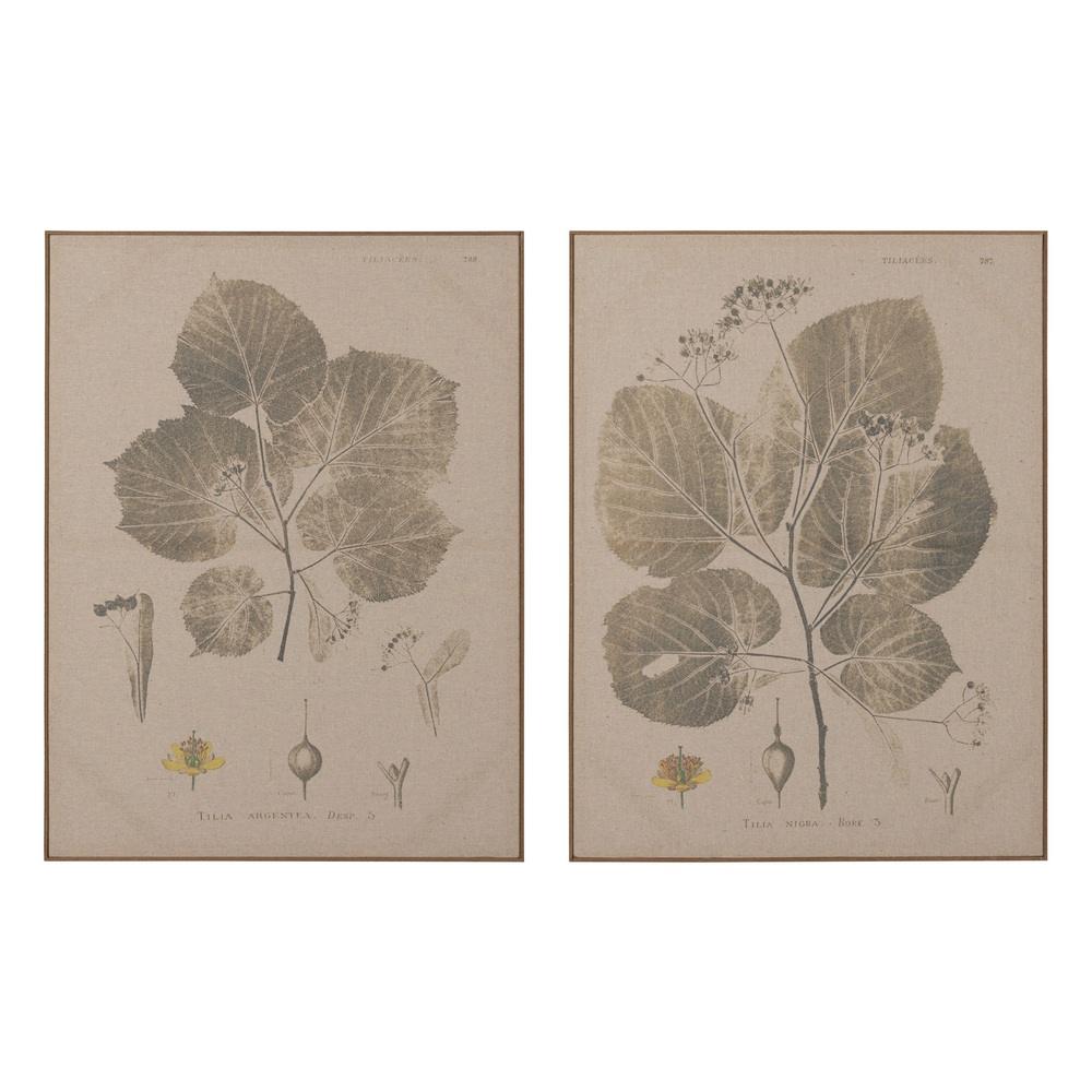 cuadro-impresion-hojas-2-m-dm-madera-60-x-3-x-80-cm-614876