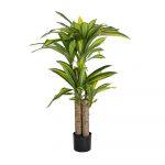 PLANTA DRACAENA VERDE POLIESTER 70 X 110 CM