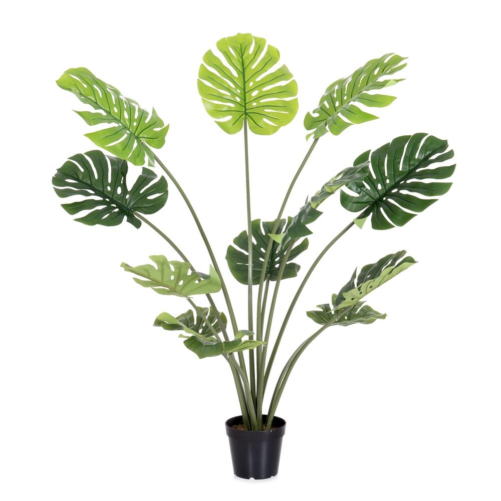 planta-monstera-exterior-120-cm-733222