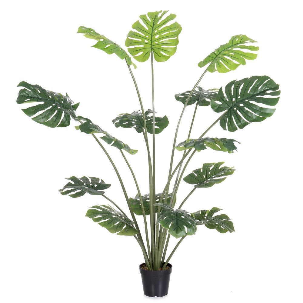 planta-monstera-exterior-150-cm-733223