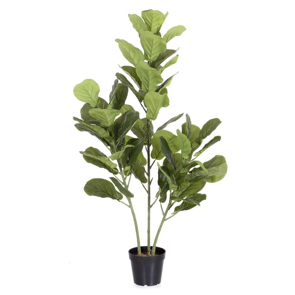 planta-ficus-exterior-120-cm-733225