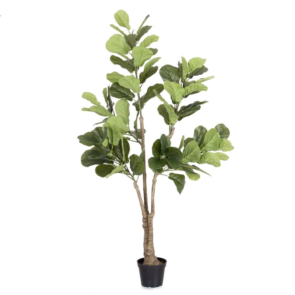 planta-ficus-exterior-175-cm-733226