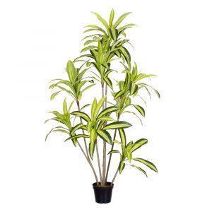 planta-dracena-exterior-180-cm-733229