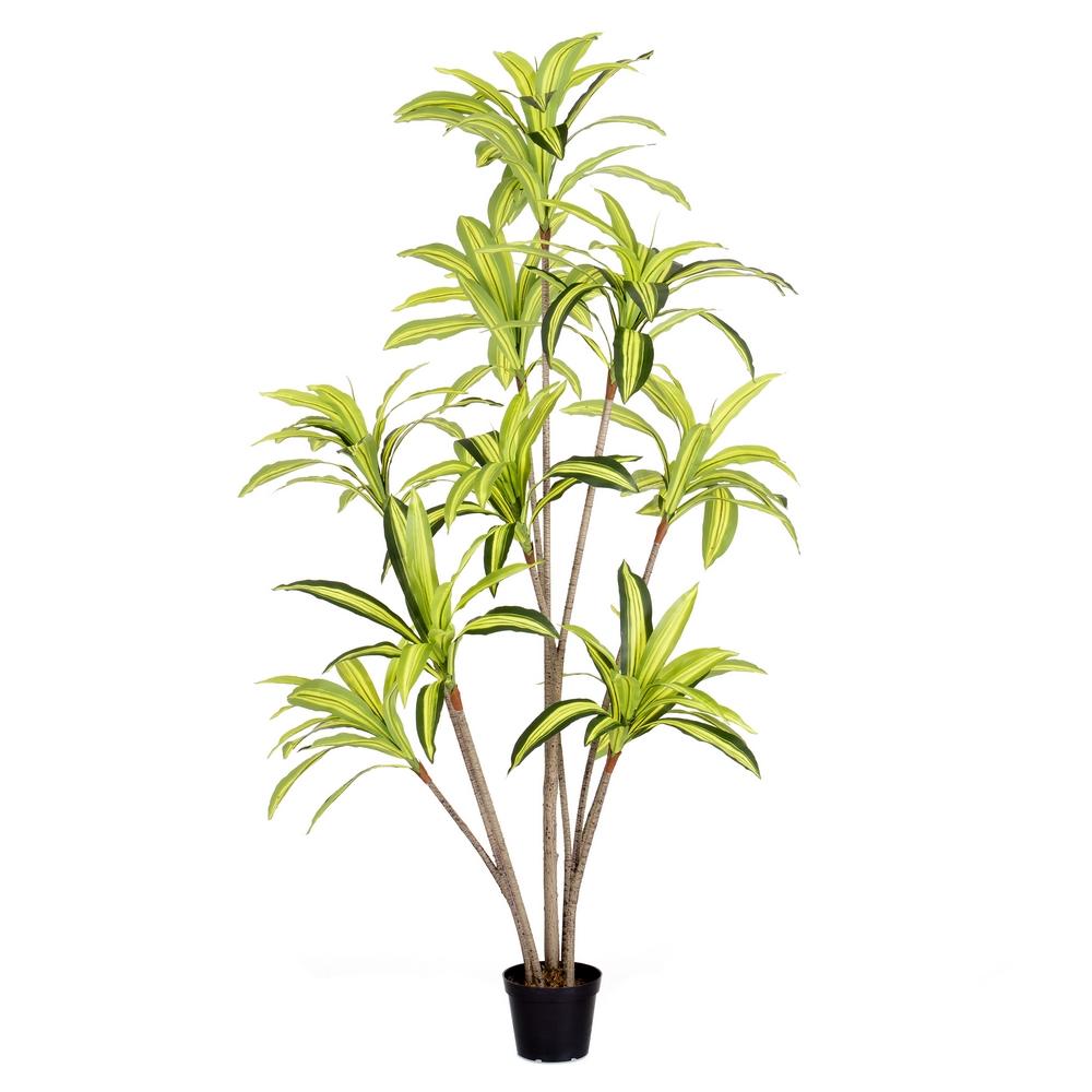 planta-dracena-exterior-210-cm-733230